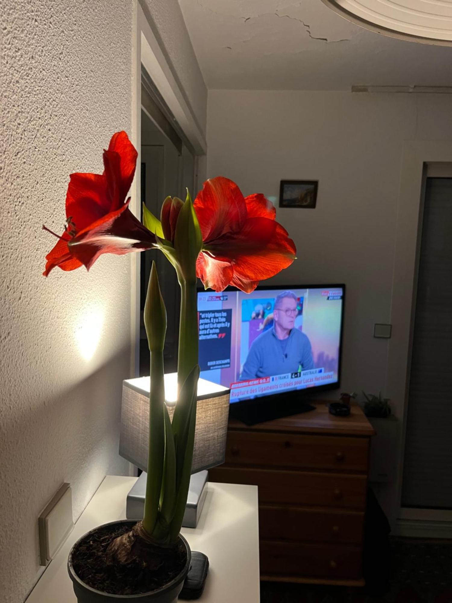 דירות 34300 Le Cap D'אגדה מראה חיצוני תמונה